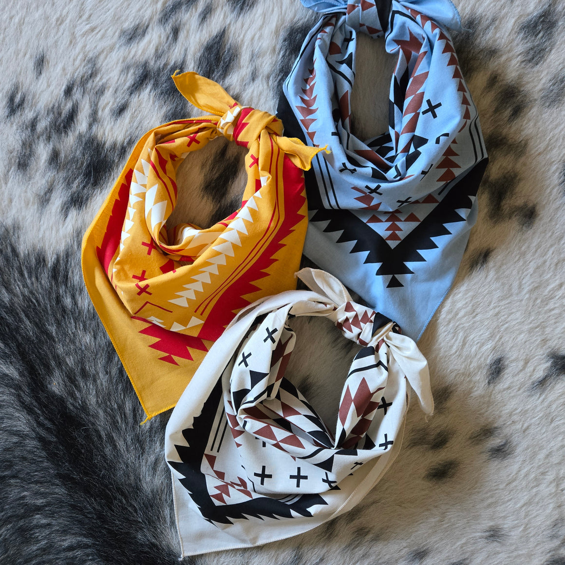 Bandana- Southwest Desert