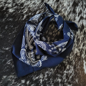 Bandana- Sketchy Paisley