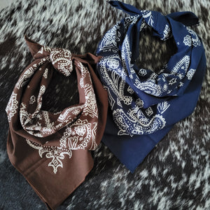Bandana- Sketchy Paisley