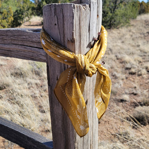 Bandana- Buckin' Bandito